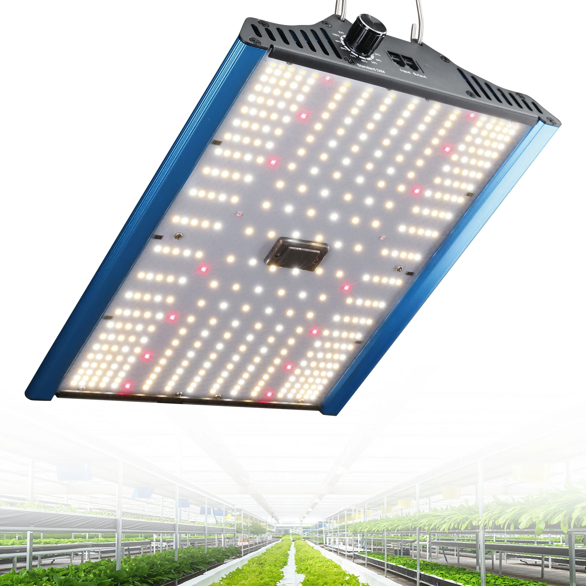 Samsung Led Lm Lm301  600W LED Grow Light Lm301b, Best Lm301h Growth Grow Light For Indoor Plants  with heat sink