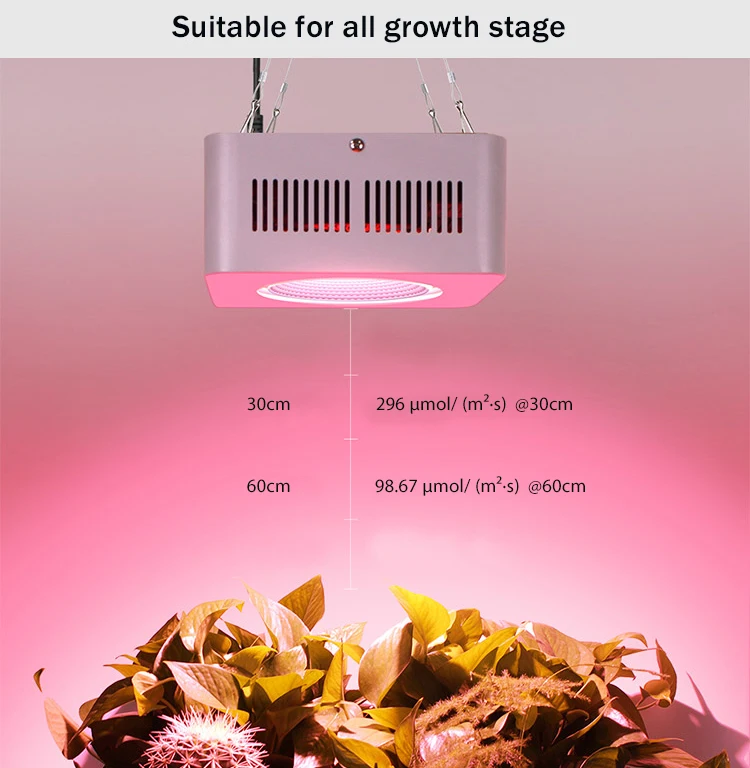 2021 New COB LED Grow Light Full Spectrum 200W Led Grow Light for indoor plants