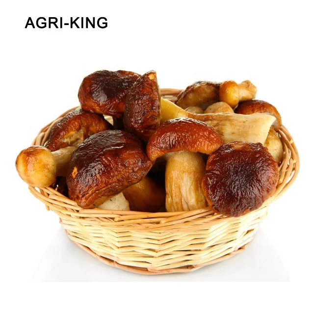 iqf frozen boletus edulis