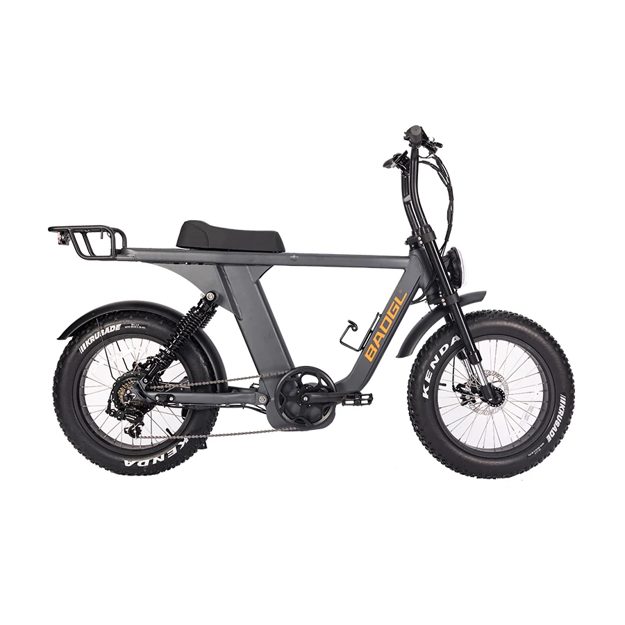 Safeway 20inch alloy frame folding bike Electric Folding Bike 24inch Europe Pedal Assist Foldable Bicycle Ebike Electric Bicycle