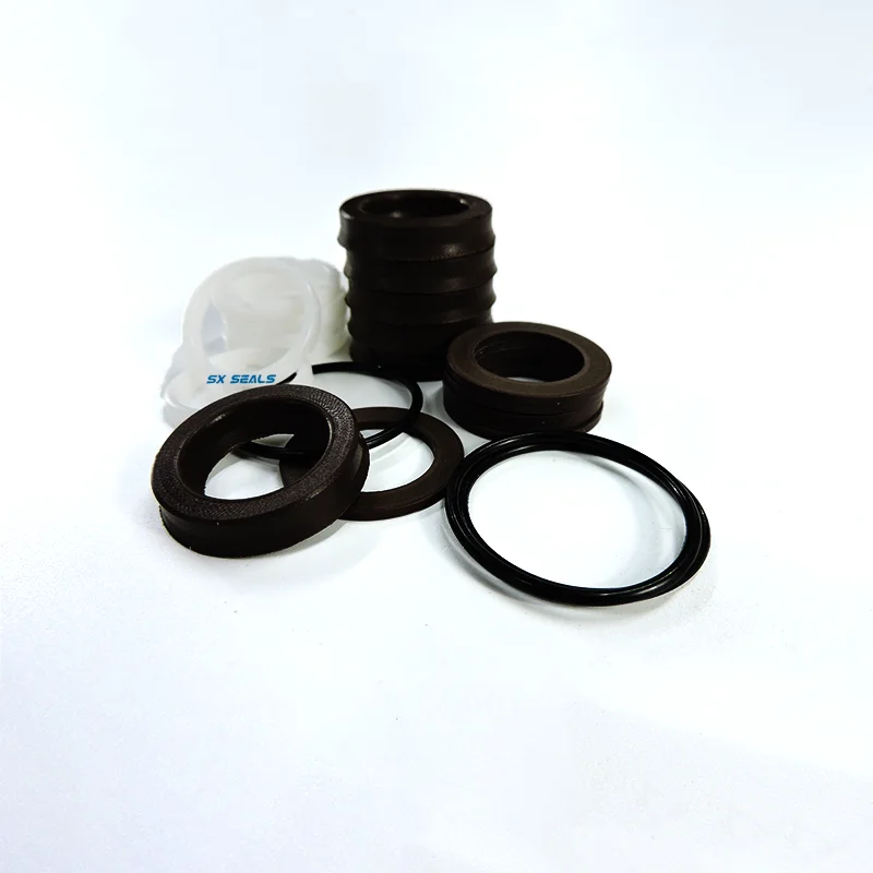 Hawk Standard Model Repair Parts Customizable Size Plunger Pump with Water and Oil Seal Check Valve Essential for Sealing Genre