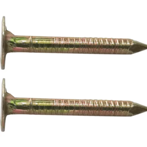 High Quality Wholesale smooth shank stainless steel coil roofing nails