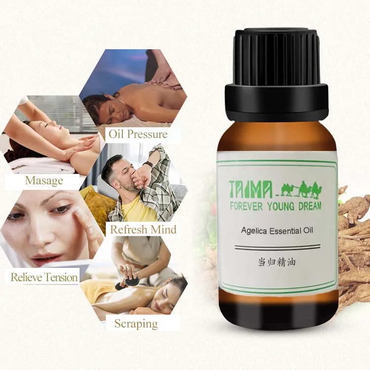 Angelica Essential Oil Bulk Herbal Angelica Root Oil8015-54-3