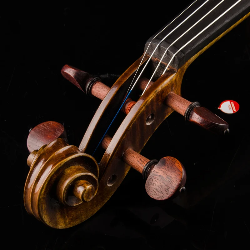 CHRISTINA Violin S500B  Best Brand Performing prices Free case string bow