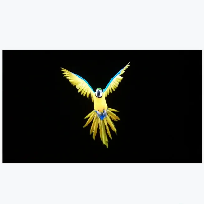 150 inch fixed frame alr screen for ust projector