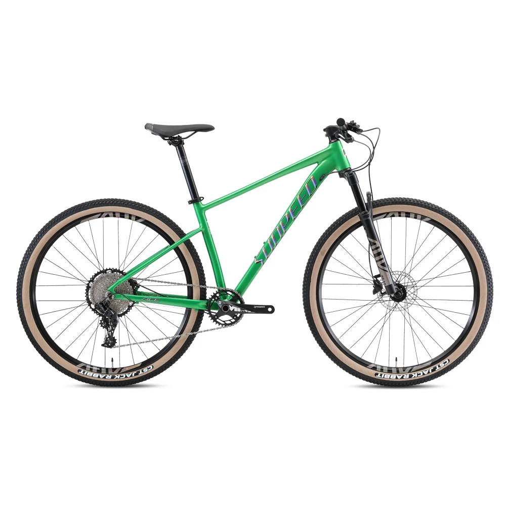 Cheap price aluminum mountain 29 alloy complete bike bicycle 17 19
