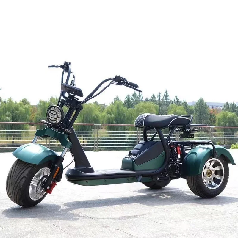 3 wheels Electric scooter citycoco 2000w