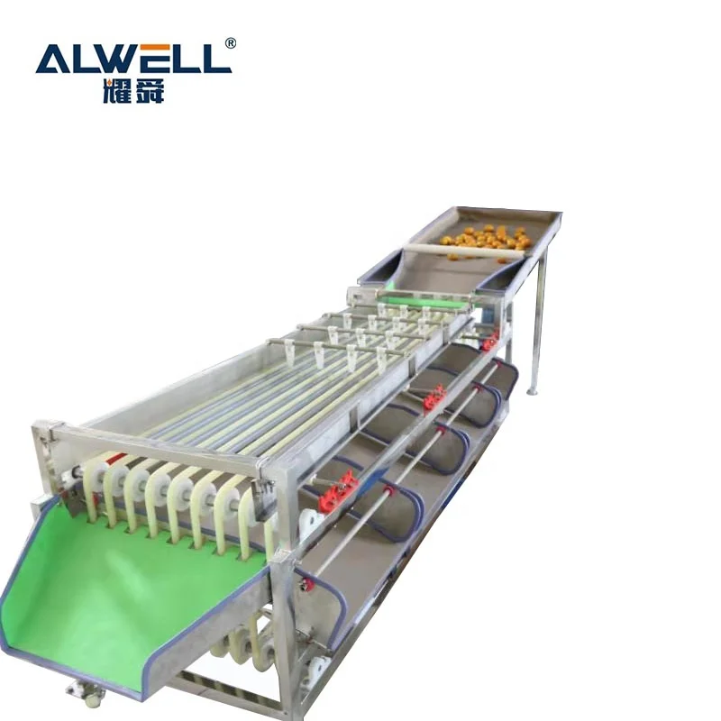 
Automatic fruits orange walnut sorting machine fruit size grading machine 
