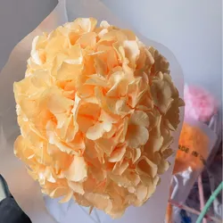 Home decoration of preserved Hydrangea with stem Big leaf Natural flowers Long term preservation
