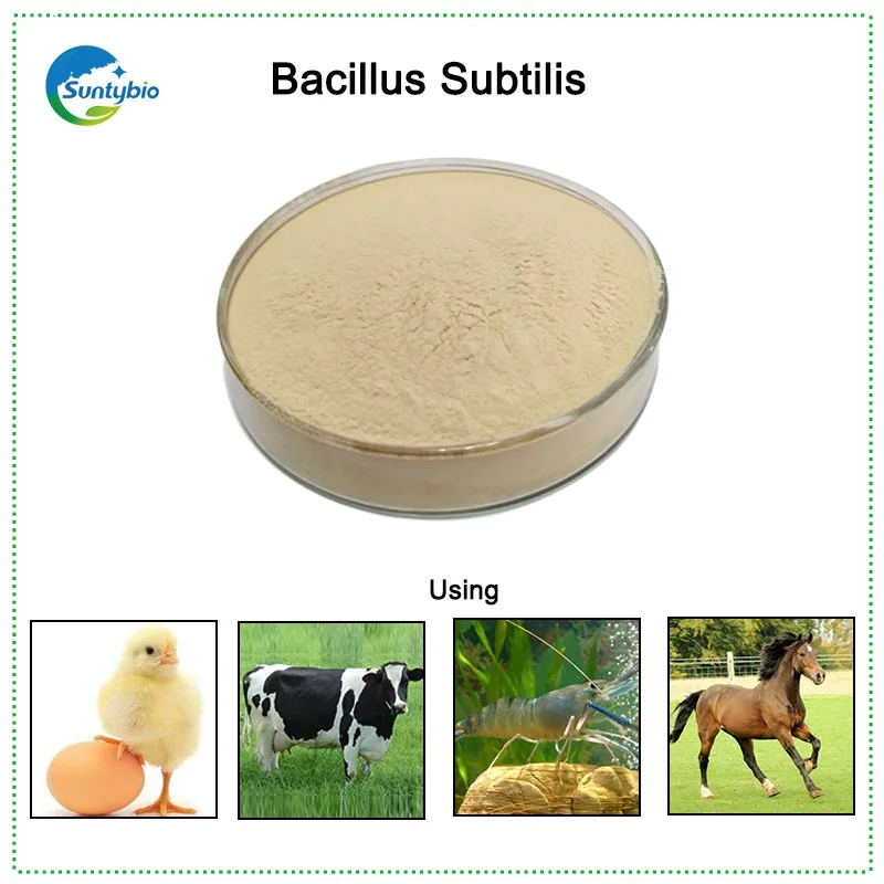Лидер продаж высококачественный пробиотик корма для креветок Bacillus Subtilis