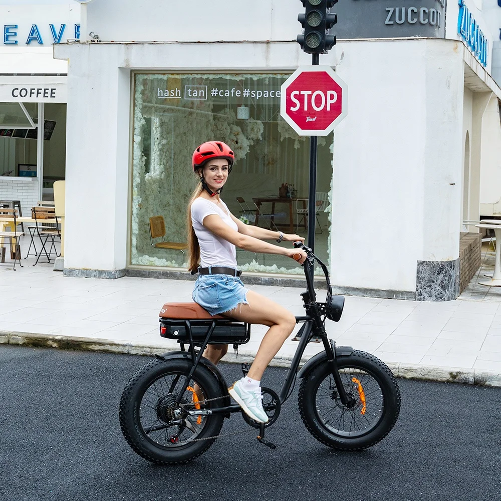 Dirt Bike 500w Mountain Bike Powerful Motor 10ah Battery Fat Tire Bike