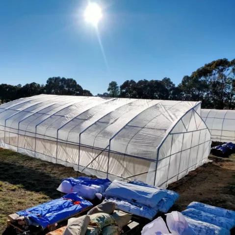 Lean-to Agriculture Greenhouse for tomato invernadero agricola