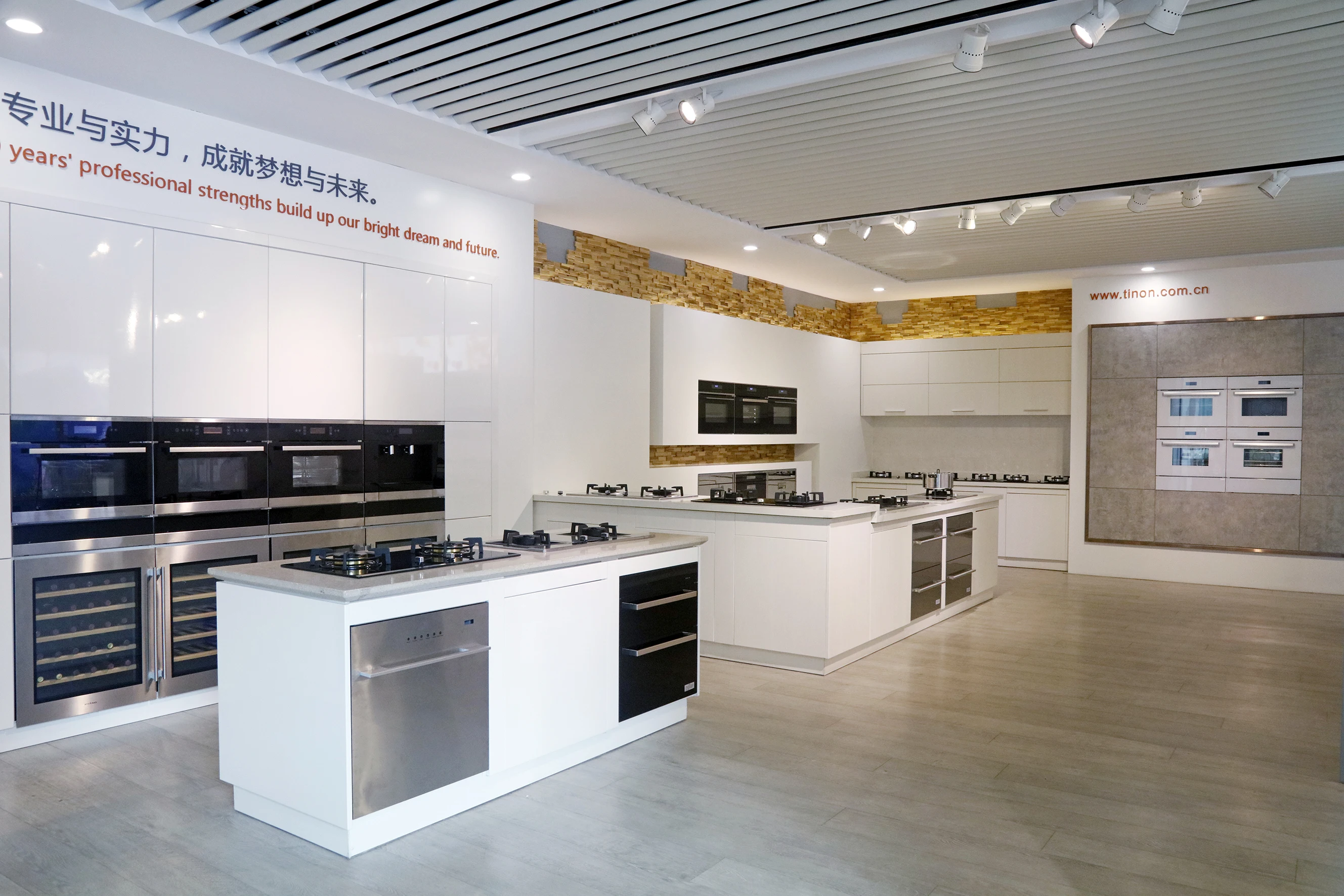 Home and Hotel use Luxury Compressor wine refrigerators semi conductor thermoelectric wine cellar fridge cooler