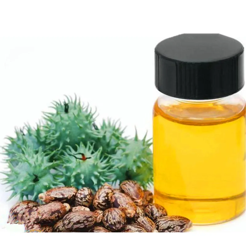 KANGZHIYUAN Wholesale Price Ethiopia Castor Seed Single Herbs & Spices Castor Seed Price in Gujarat Big Castor Seeds