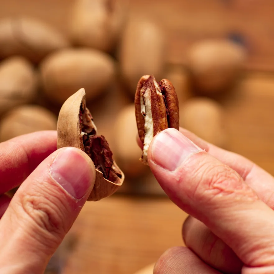 High Quality Wholesale Pecan Nuts Price Healthy Organic Roasted Pecan Nuts