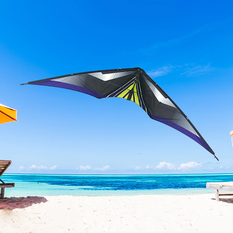 parafoil kite manufacturers wholesale dual line kite custom delta shape large shark kite