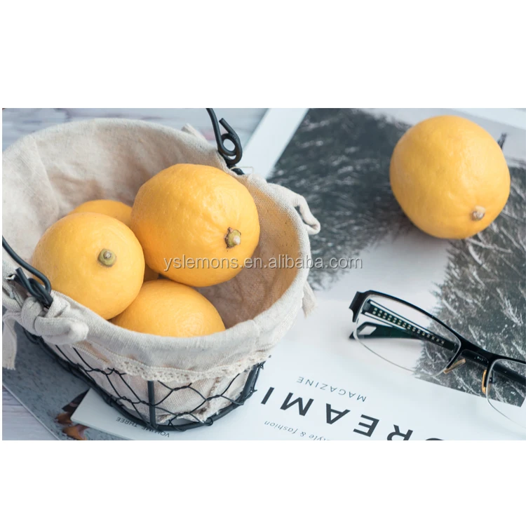 Montale High Quality Best Price Farm Fresh Citrus Lemon