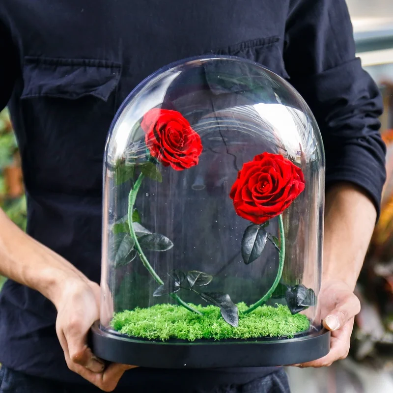2020 Feiliya factory wholesale immortal eternal flower roses preserved glass dome