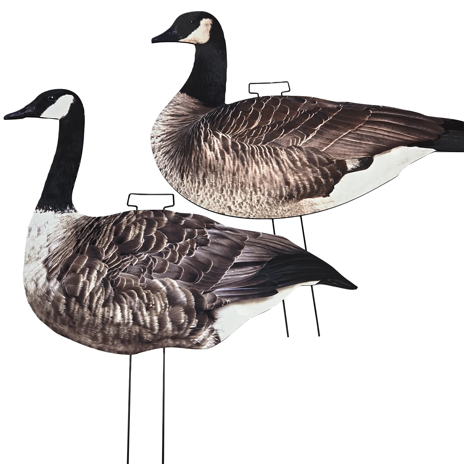 OEM Plastic Lifelike Anti-reflective PP Silhouette Goose Hunting Decoys with Stake