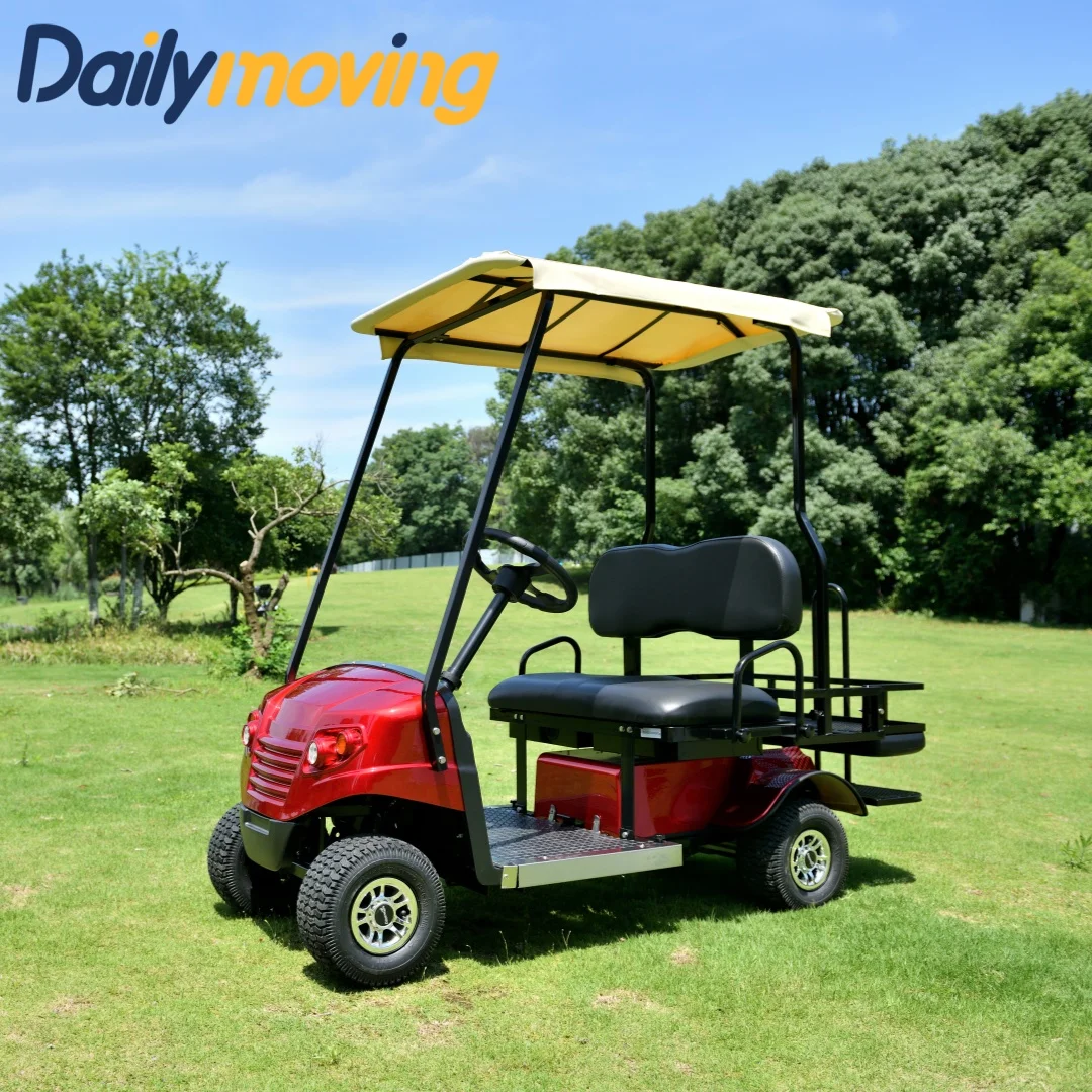 2024 New Club Car Passenger Vehicle Lead Acid Battery Charger 2 Seater Mini Golf Cart