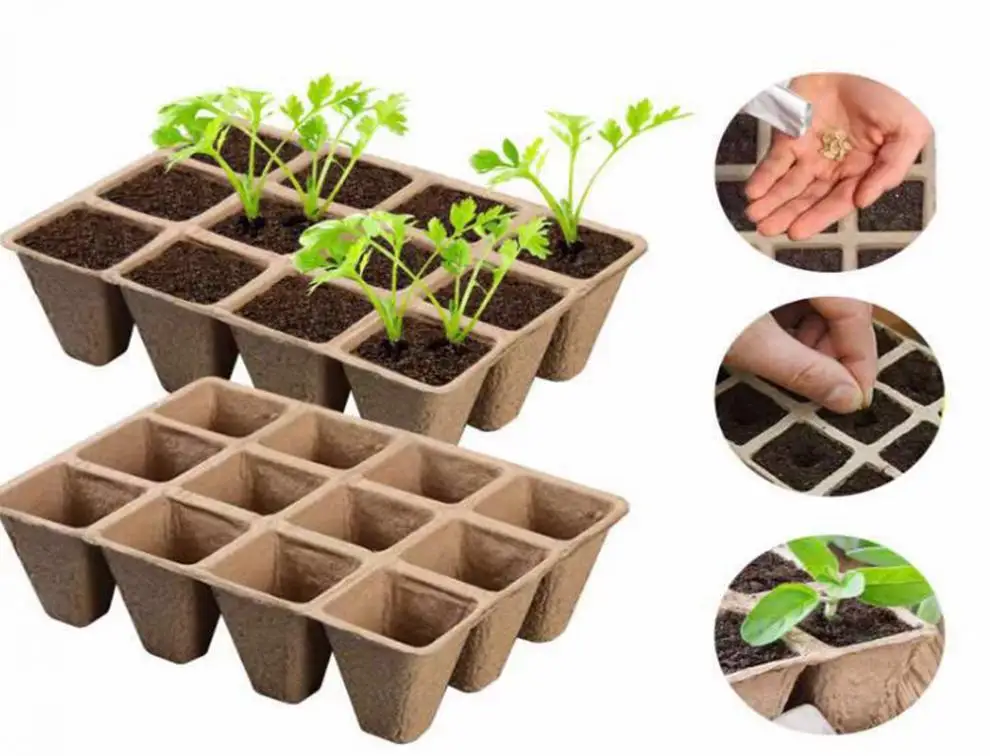 Paper Trays for Seedlings Molded Pulp Seedling Grow Box Seedling Planting Cups