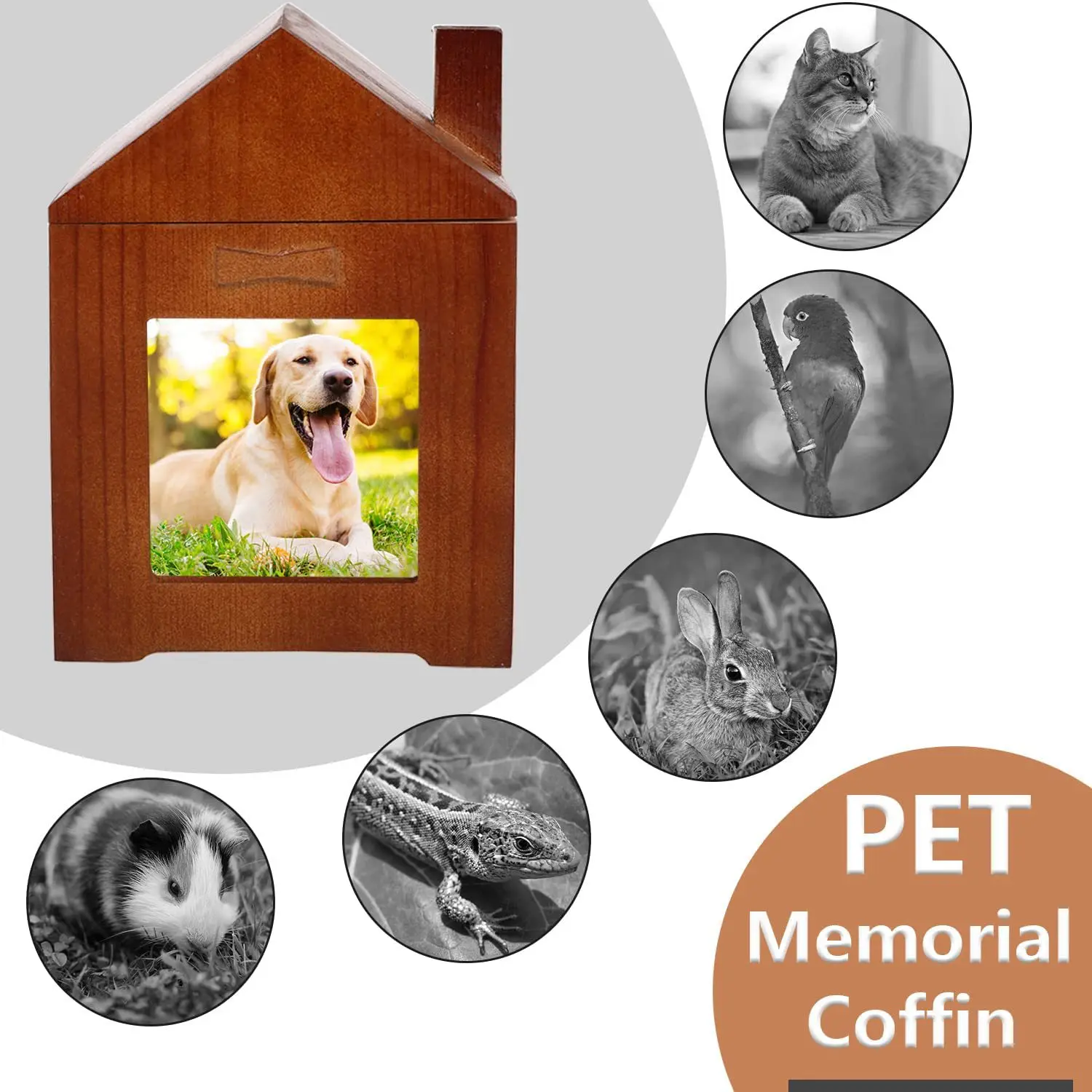 Pet Casket Pet Coffin Physical Customization Pet Sustenance Feelings Customization