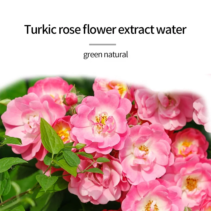 Натуральный органический тоник из дамасской розы увлажняющий отбеливающий для ухода за кожей розмарином