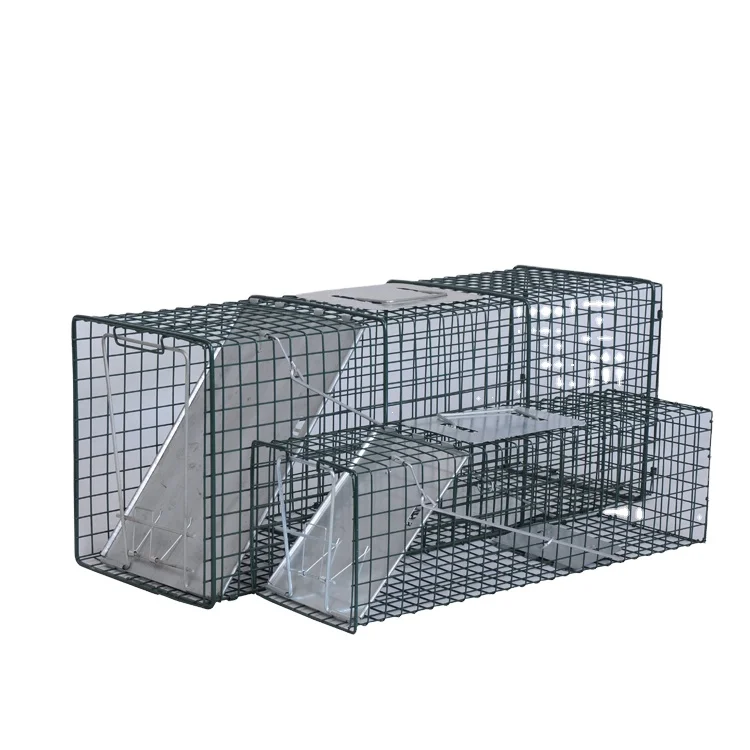 BSTW over 10 years experience factory for Steel Outdoor Live Animal Trap