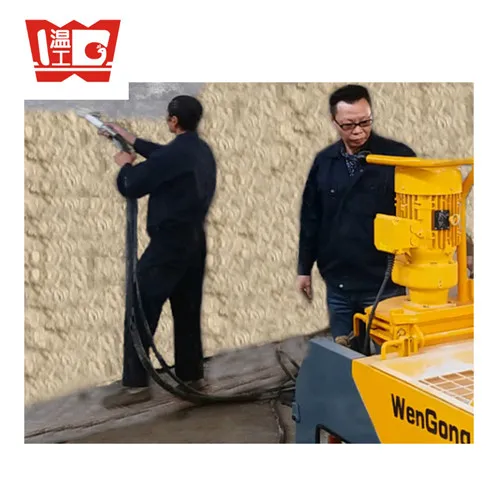 
TURBOSOL GIOTTO PFT G5C gypsum pump plastering mixing plaster machine 