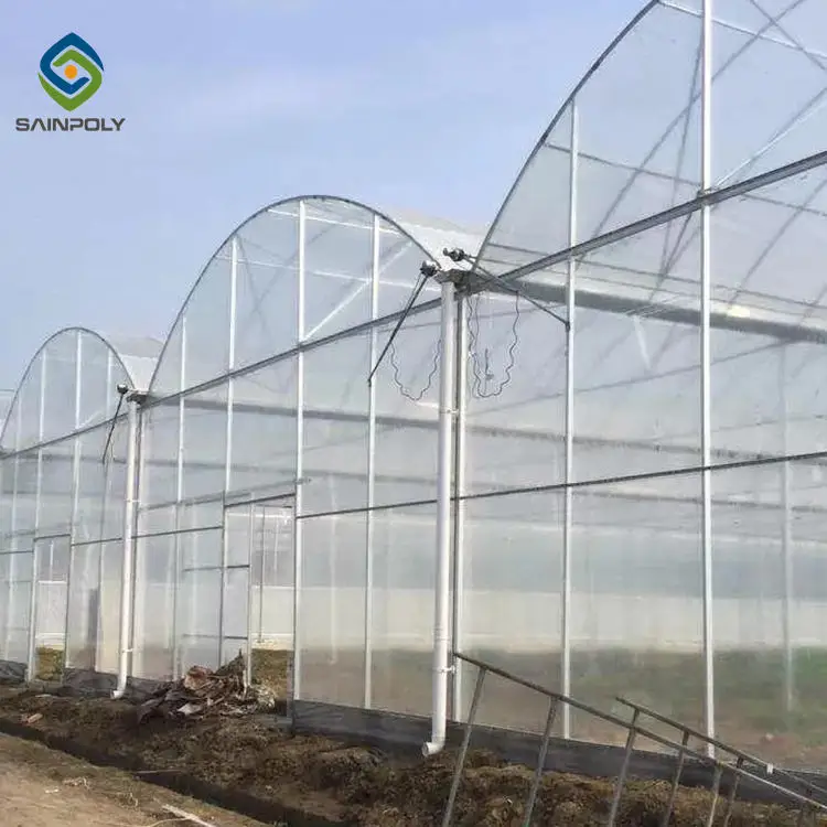 Modern Agriculture Commercial Multi span Planting Green Hous Tomato Strawberry Hydroponic Greenhouses