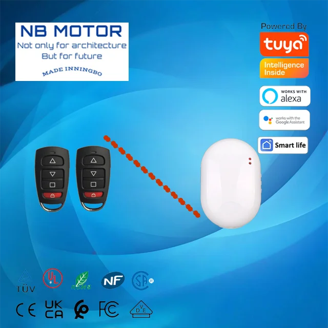 NB мотор Reroad bluetooth 433 МГц обучающий код привод рулонные затворы комплект управления дверью 4 кнопки для трубчатого двигателя