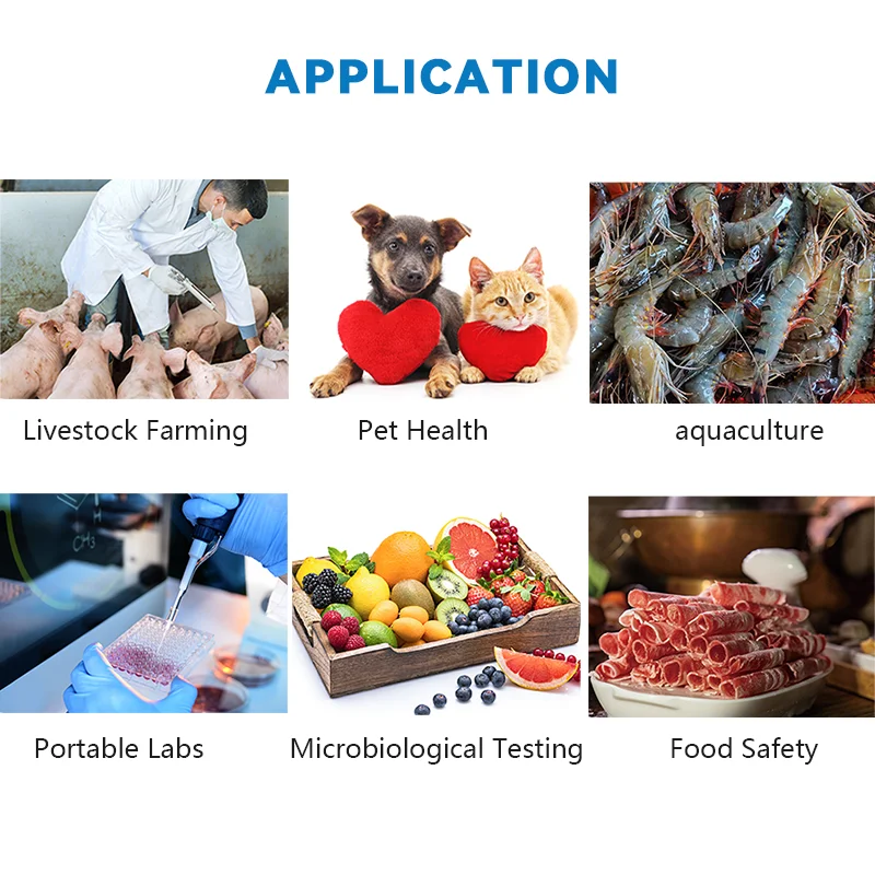 Портативный на месте оборудование для быстрого тестирования нуклеиновой кислоты в режиме реального времени анализатор безопасности пищевых продуктов диагностический ветеринарный прибор