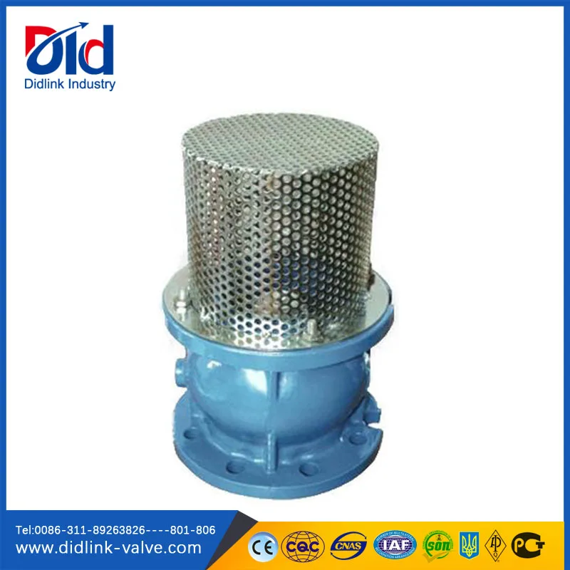 Well Hydraulic Air Bronze Stand Replacement Spring Din Ductile Iron Jet Pump Foot Valve Strainer