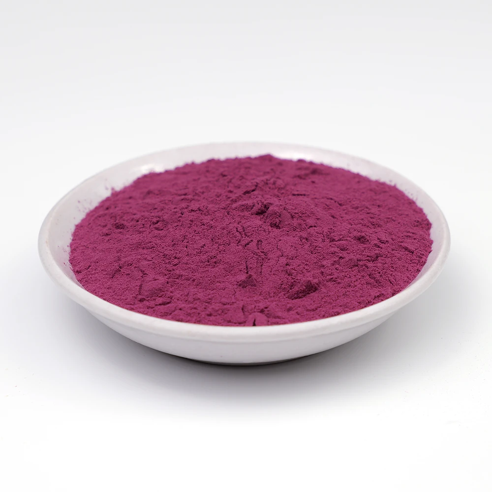 Blueberry Juice Powder.jpg