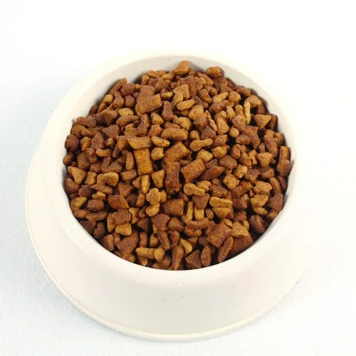 
dog food 