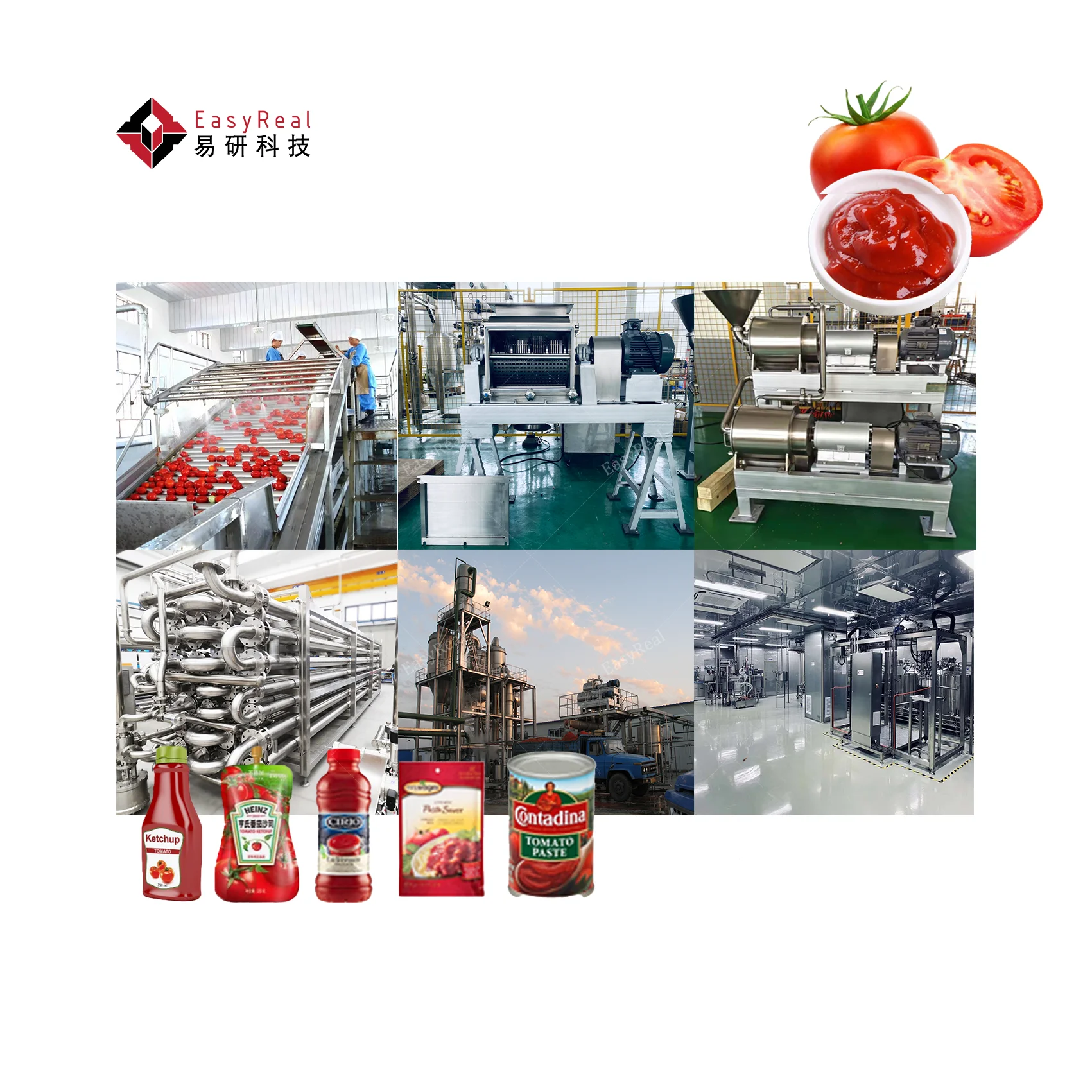 Small Tomato Paste Sauce Ketchup Pasta Concentrate Possessing Plant Making Machine Line with Packing