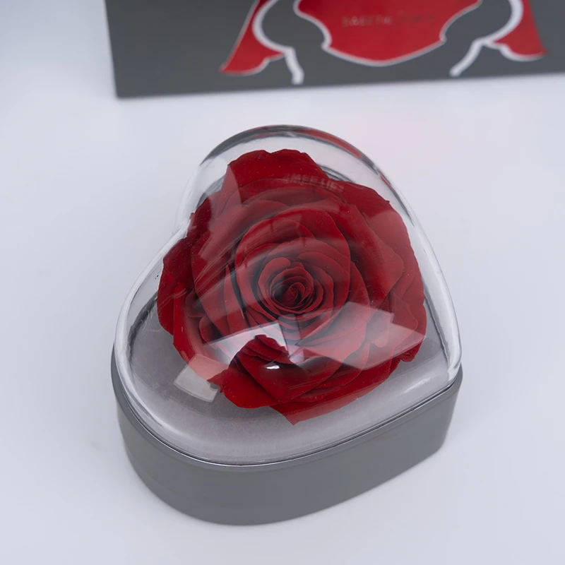 DIY enchanted  preserved rose than smell good in heartshape gift box for valentine day gift preserved rose in jewel box