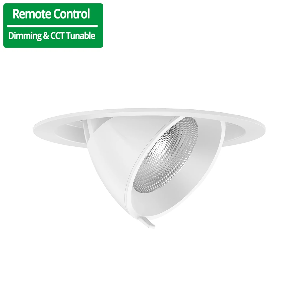 Remote Control DMX Dali Dimming Casambi CCT Tunable Motorised Adjustable Spotlight Zoomable Motorized