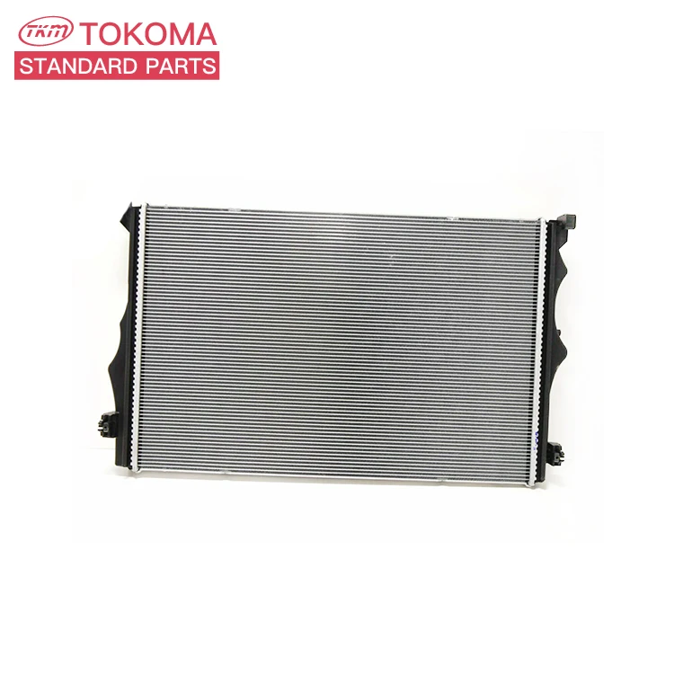 Auto Parts Cooling System Electric Radiator Cast Iron Radiator for BENZ C-CLASS W202 C220 CDI 2025005603 2025006403