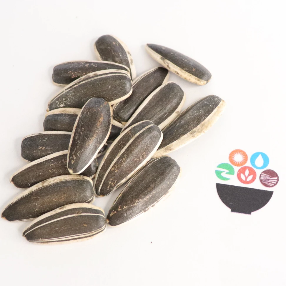 China Origin Factory Customize Dry Giant Sunflower Seeds Melon Seeds Sunflower Seeds Raw Material For Oil Extraction