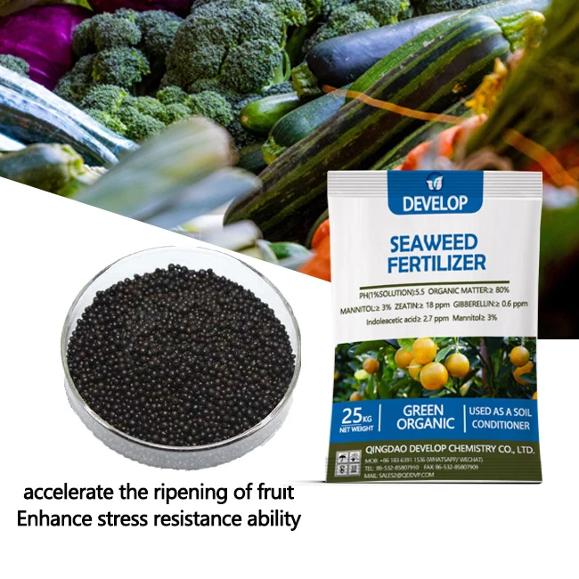 Promotional various durable using seaweed kelp extract fortified organic fertilizers agro water soluble granular
