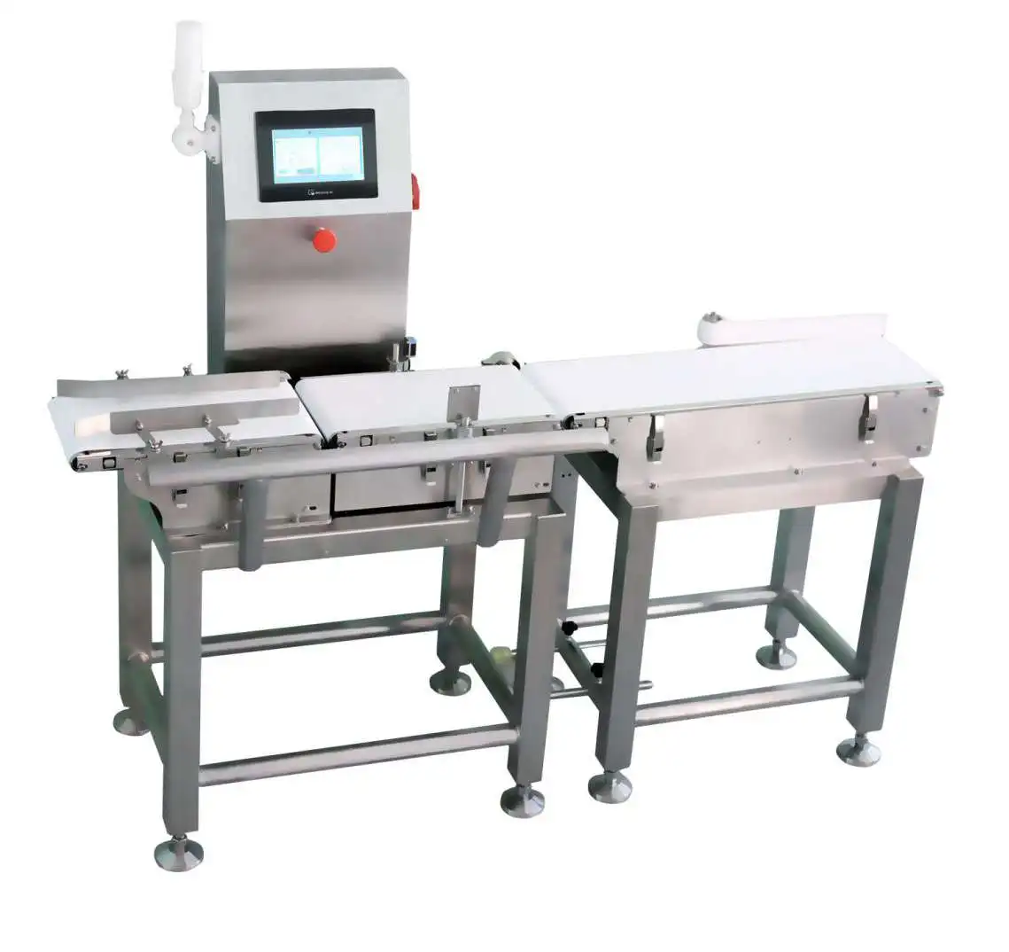 
Industrial Scales Food Processing Line Check Weigher with Conveyor 