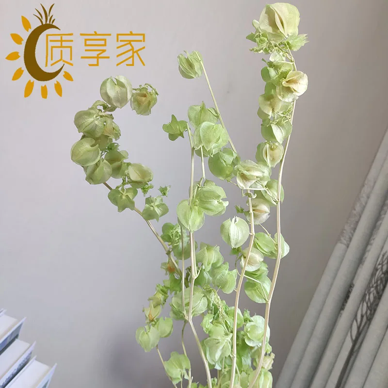 Заводская поставка Kunming сохраненные сушеные цветы как колокольчик красочная