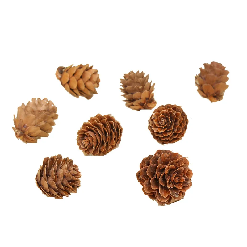1-18CM Pine Cones Christmas Decorations: Creative Hanging Ornaments,  Dried Pine Cones for Holiday Displays and Photography