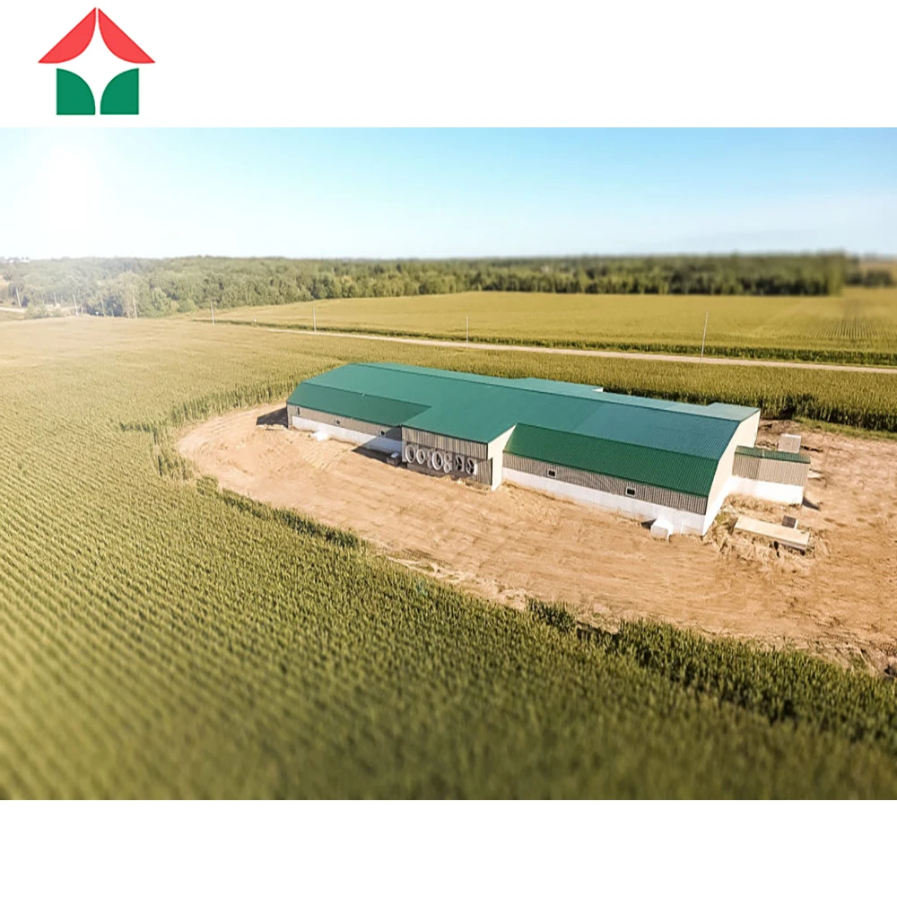 One-stop сервис полуфабрикат здание стальной структуры для куриное яйцо домашней птицы