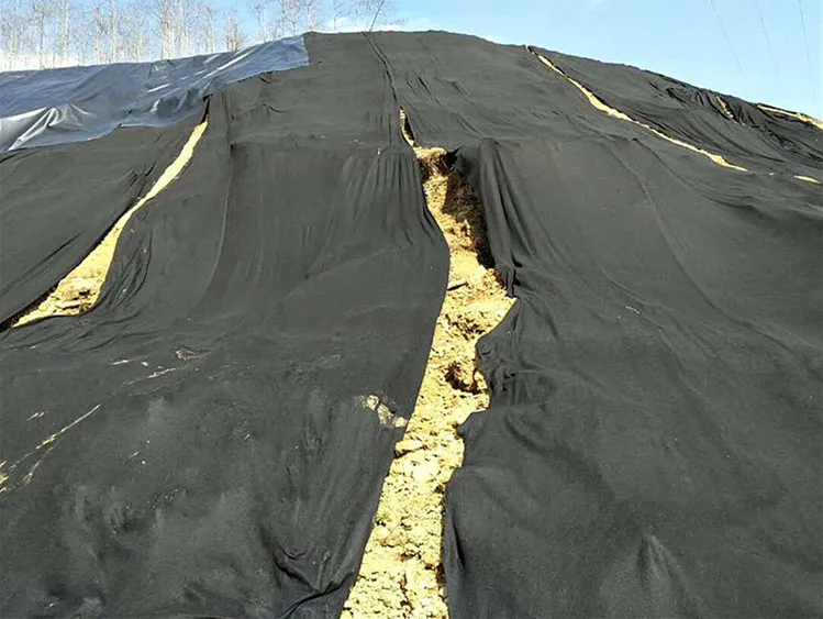 200gsm Needle Punched Non Woven Geotextile for gabion slope protection