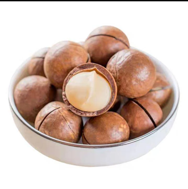 High-quality hot-selling new product shelled macadamia butter nuts