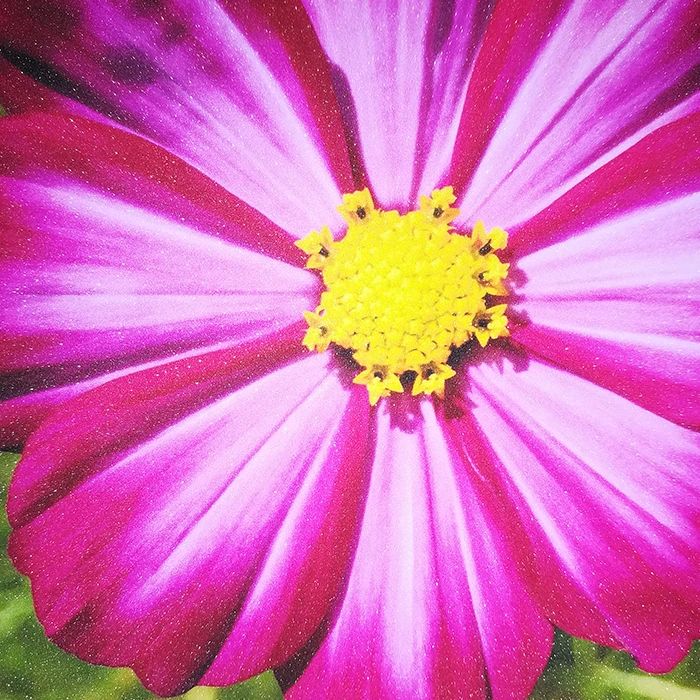 New Product Self Adhesive Glitter Frosted Glass Window Film Smart Decorative Window Film