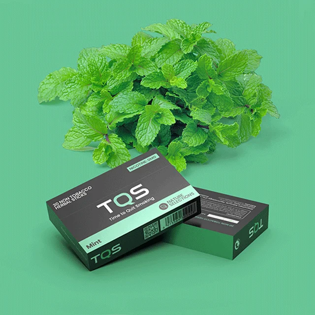 TQS Hot Sale Natural Plant Extracts Heated Without Burning Non-Tobacco HeAT TQS Sticks For Heated Not Burn Vape Kits