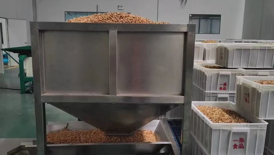 Wholesale Natural Organic Top Grade White Walnuts kernels